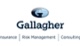Platinum Sponsor: Gallagher