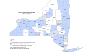 The Future of County Nursing Homes Study Report